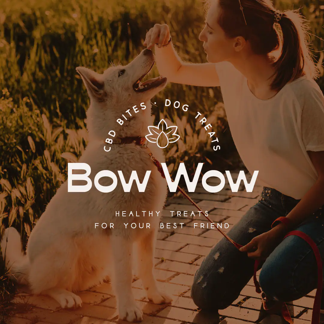 Bow Wow — CBD Dog Treats · Branding