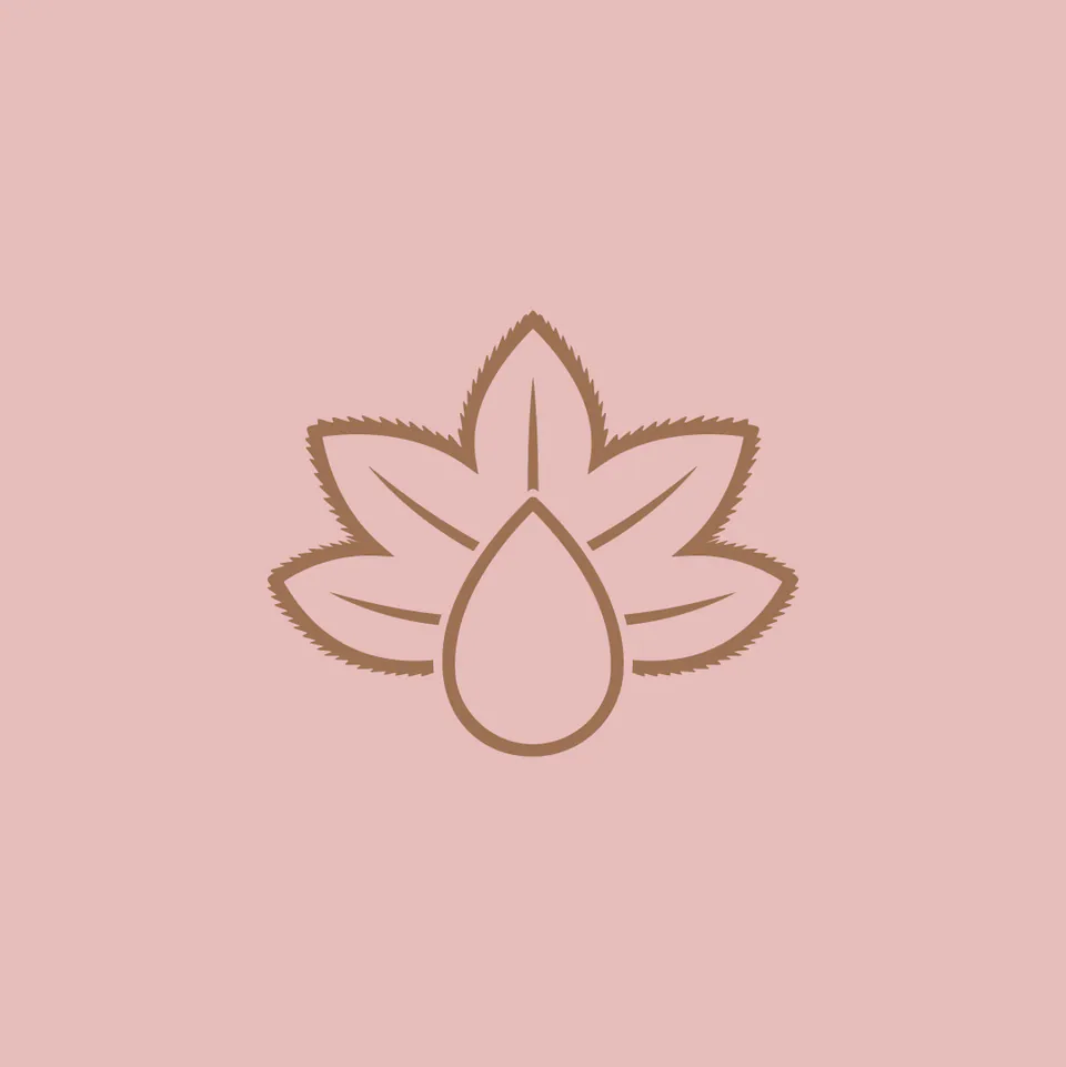 Bow Wow, CBD Dog Treats · Branding: image 2 of 14