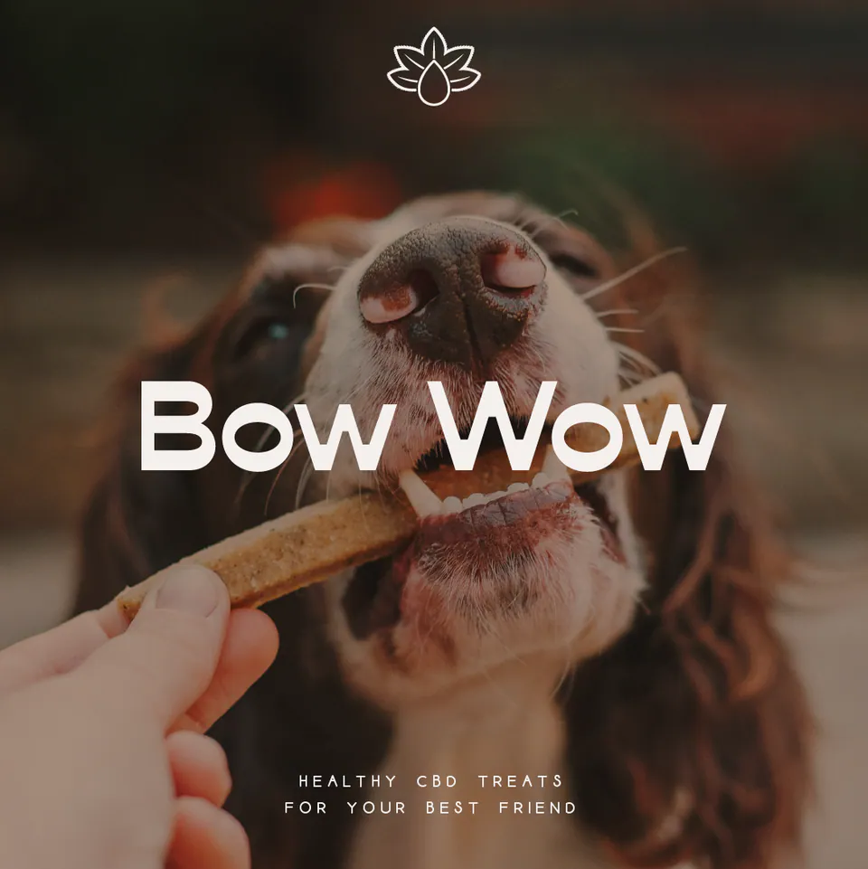 Bow Wow, CBD Dog Treats · Branding: image 7 of 14