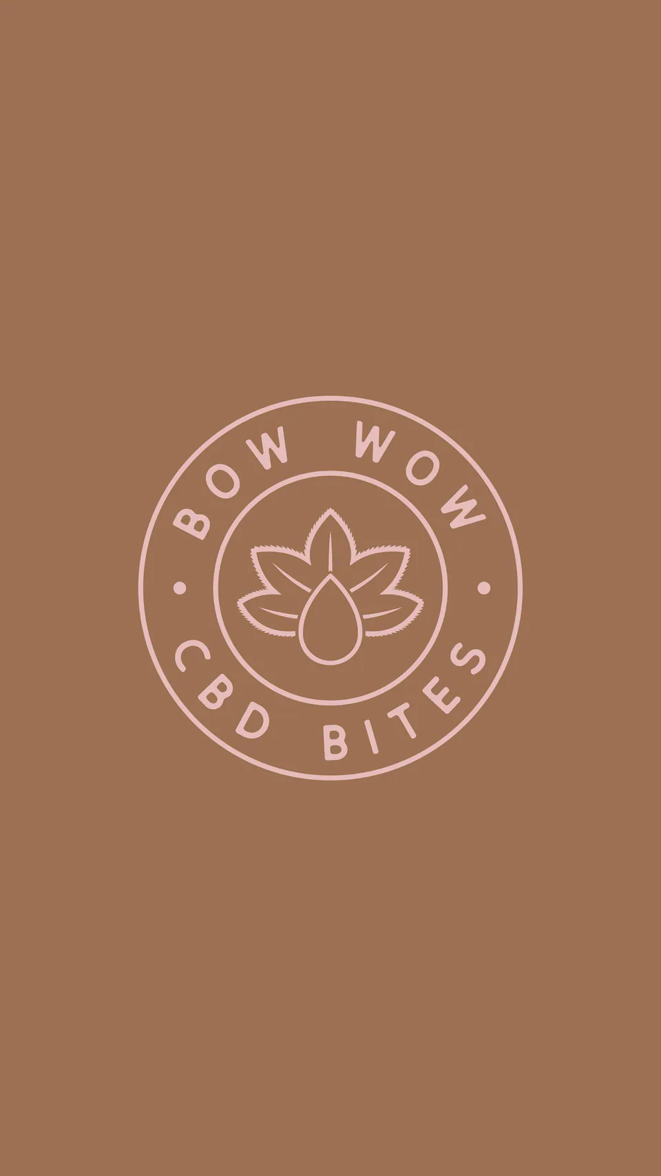 Bow Wow, CBD Dog Treats · Branding: image 13 of 14