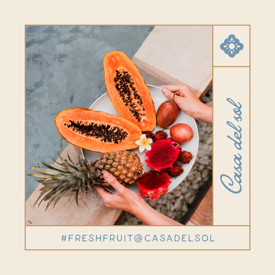 Casa Del Sol, Branding: image 8 of 8