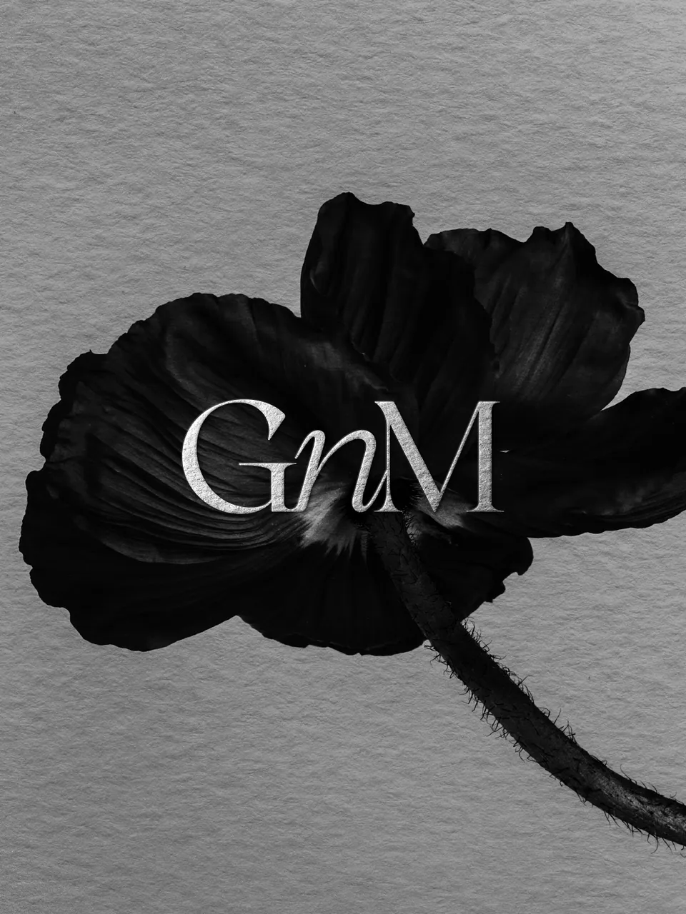 GnM Salon Apparel, Rebranding: image 1 of 6