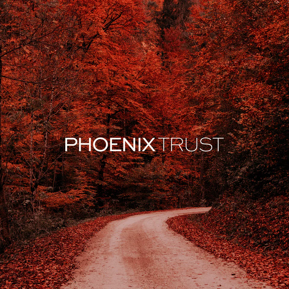 Phoenix Trust, Financial Services · Branding Design: image 5 of 7