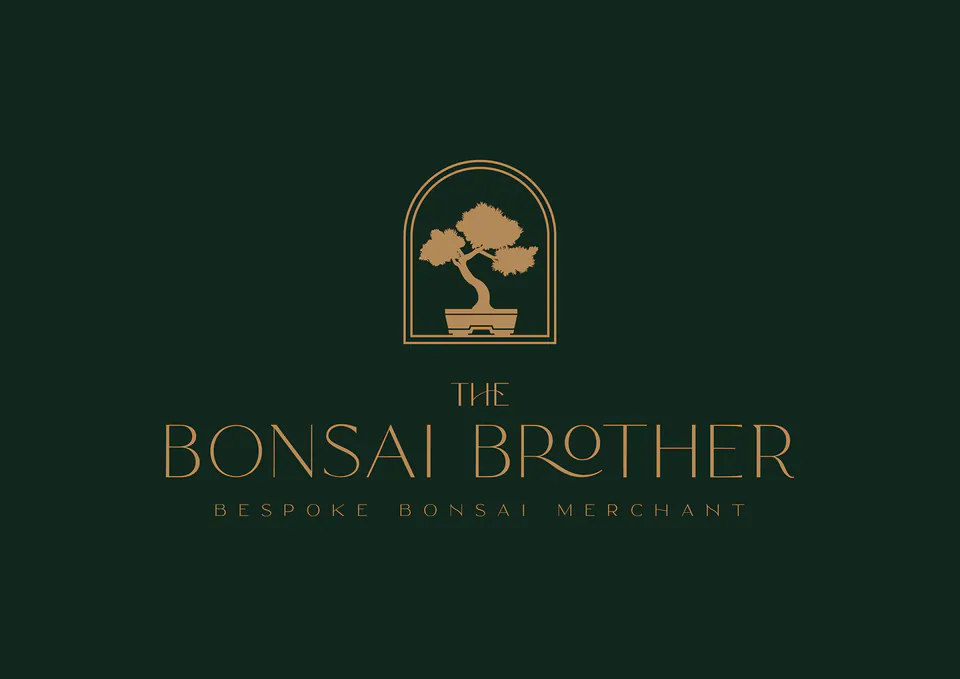 The Bonsai Brother, Bespoke Bonsai Merchant Branding: image 2 of 8