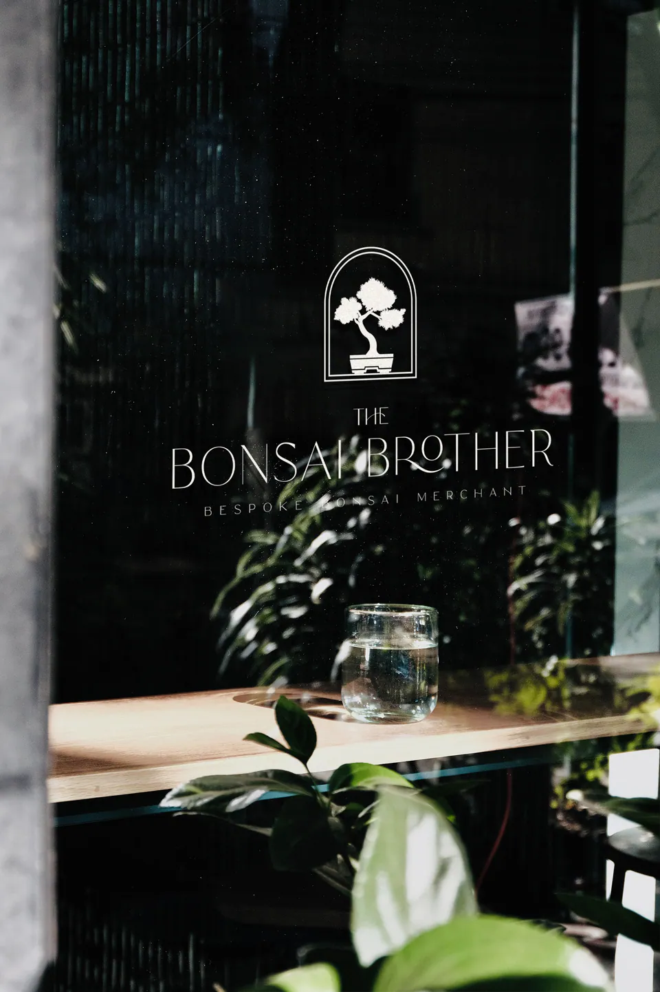 The Bonsai Brother, Bespoke Bonsai Merchant Branding: image 3 of 8