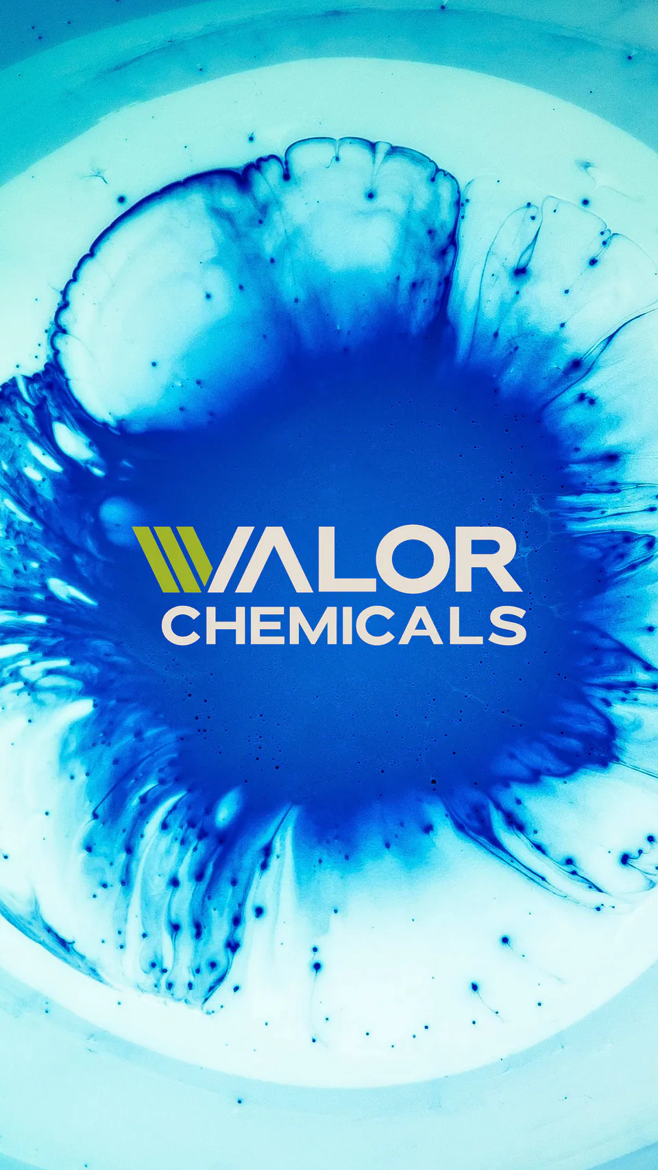 Valor Chemicals, Logo Design & Branding: image 1 of 7
