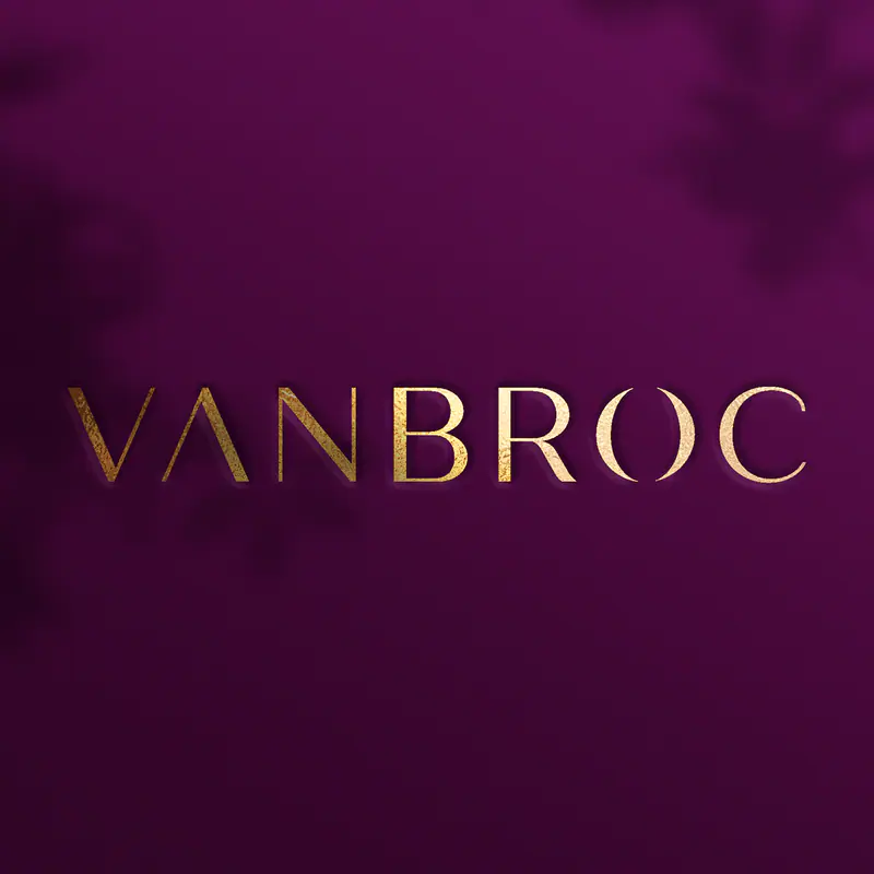 VanBroc Digital Marketing — Logo & Brand Design
