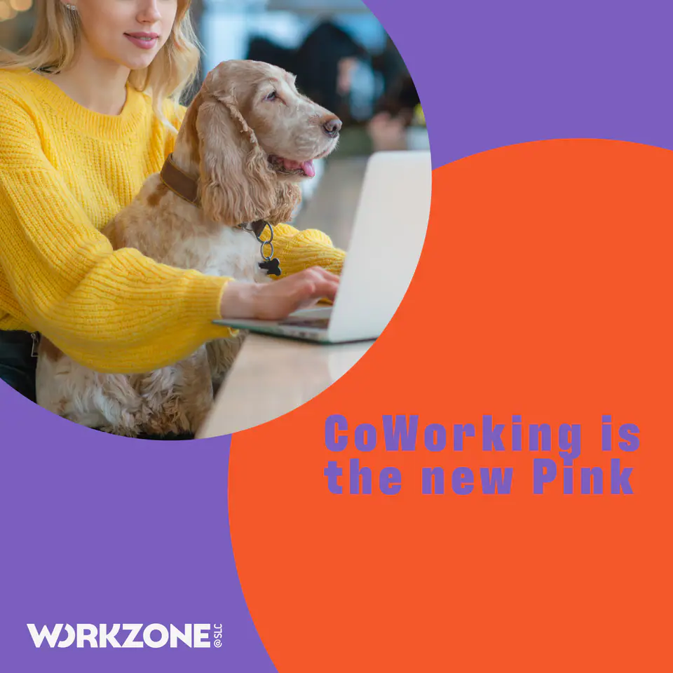 Workzone, CoWorking Spaces · Logo Design & Branding: image 11 of 12
